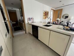 Paterson Suites (D9), Condominium #489984931